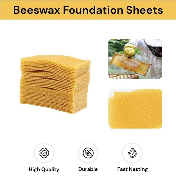 30pcs Beeswax Foundation Sheets