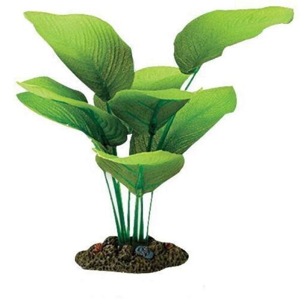 Aqua One Sword Radicans Silk Plant 13cm- Small (24103)