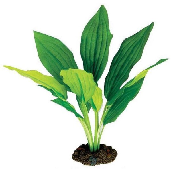 Aqua One Broad Leaf Amazon Silk Plant 20cm - Med (24114)