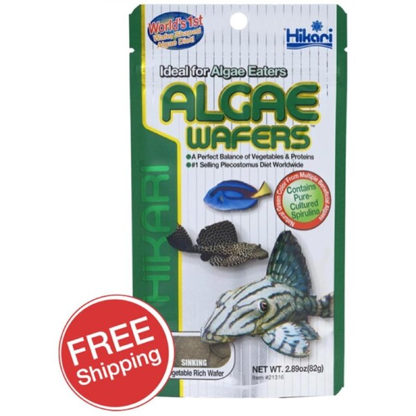 Hikari Algae Wafers 82gm (KH21316)