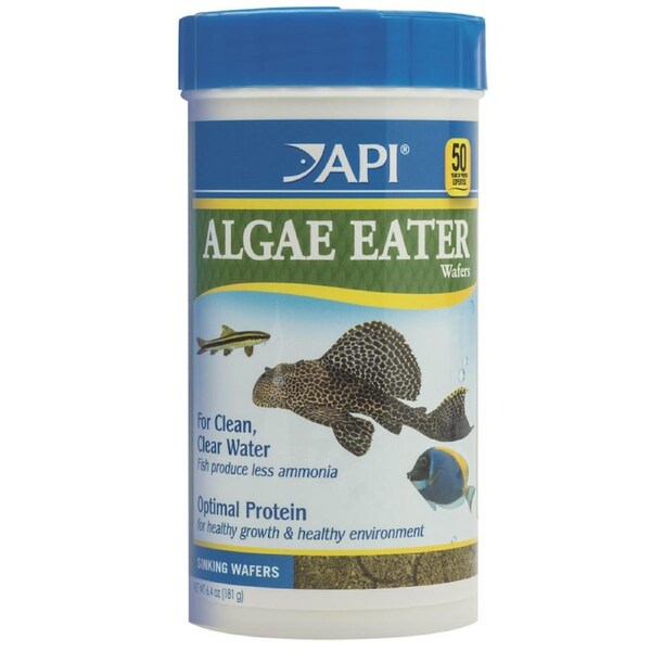 API Algae Eater Wafers 181gm (840C)