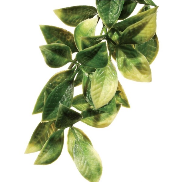 Exo Terra Forest Plant - Mandarin - Small (PT3002)