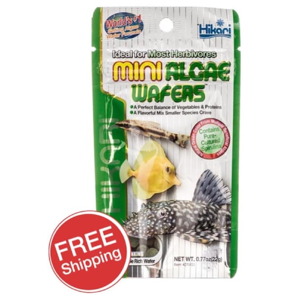 Hikari Mini Algae Wafters 22gm (KH21403)