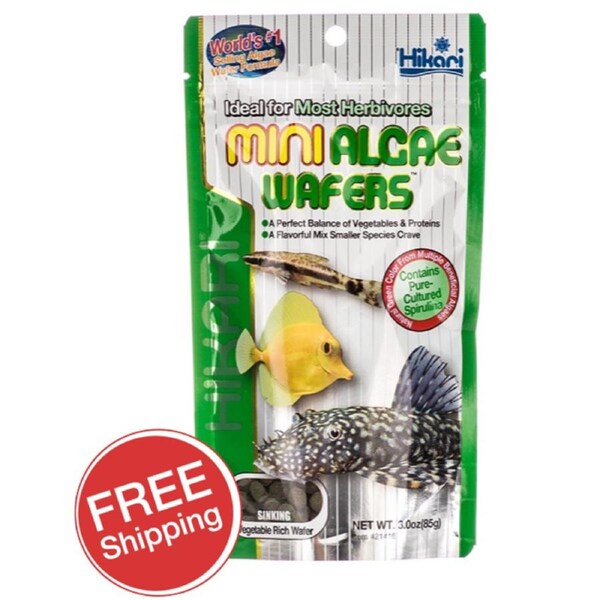 Hikari Mini Algae Wafters 85gm (KH21416)