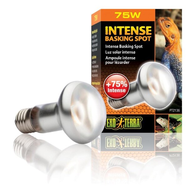 Exo Terra Intense Repti Basking Spot Lamp - 75 Watt (PT2136)