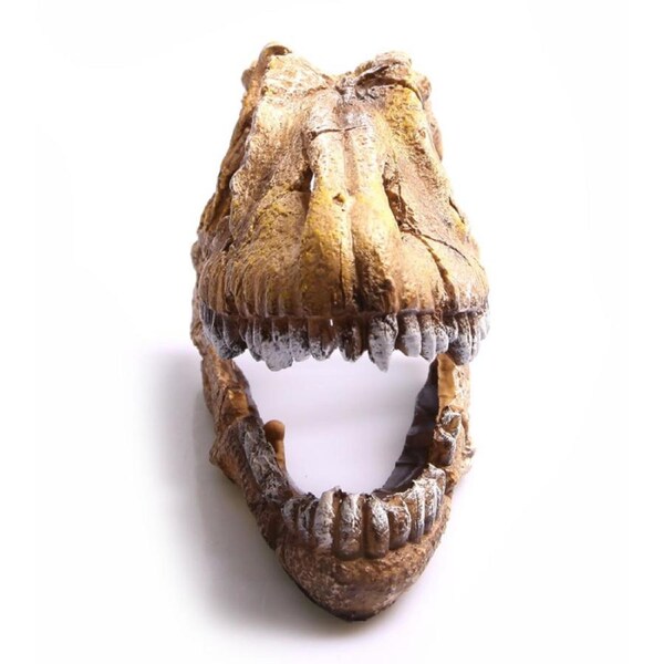 Aqua One Dinosaur Skull Ornament (36762)