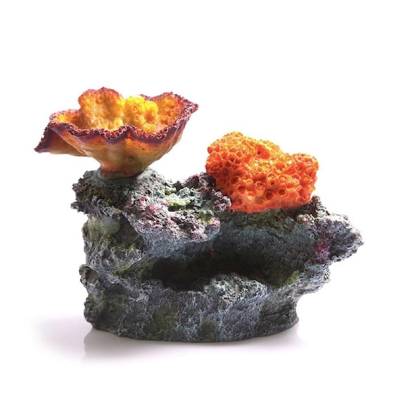 Aqua One Chalice and Sun Corals on Live Rock Ornament (36867)