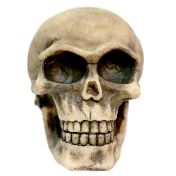Aqua One Skull (L) Ornament (37126)