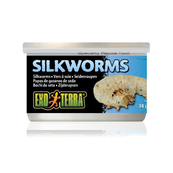 Exo Terra Canned Silkworms 34g Reptile Lizard Food (PT1954)