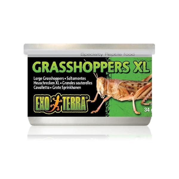 Exo Terra Canned Grasshoppers XL 34g Reptile Lizard Food (PT1952)