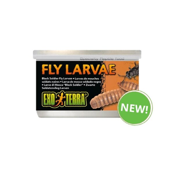 Exo Terra Canned Black Soldier Fly Larvae 34g Reptile Lizard Food (PT1966)