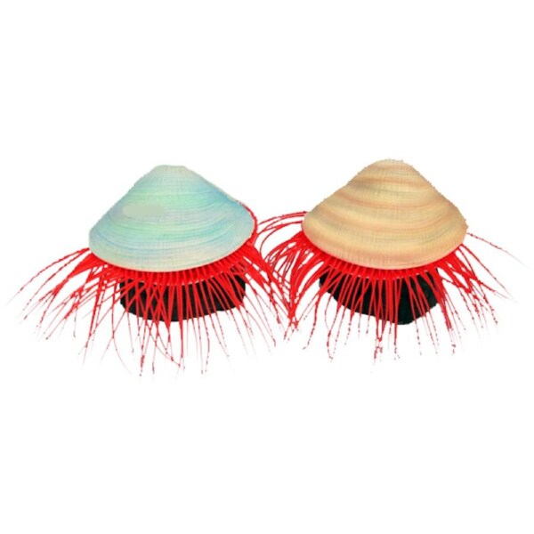 Aqua One Flexiscape Flame Scallop Assorted Colours 7.5cm 1pk (29430)