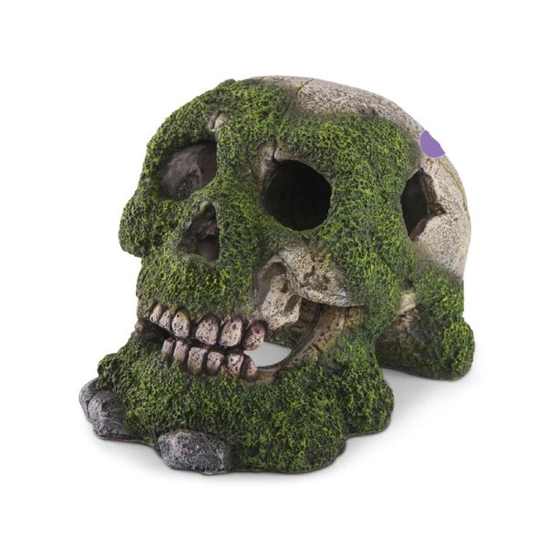 Kazoo Skull W/Moss & Air - Small (18893)
