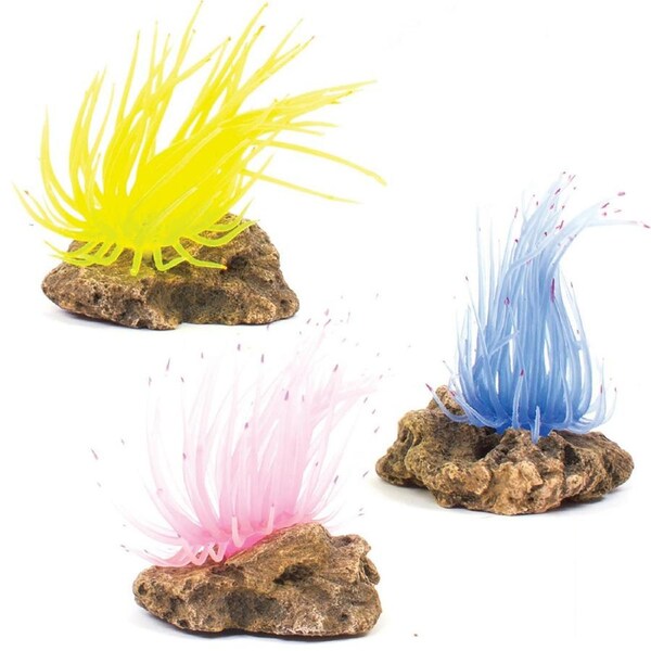 Kazoo Soft Grass Coral W/Rock Assorted 1pk (18800)