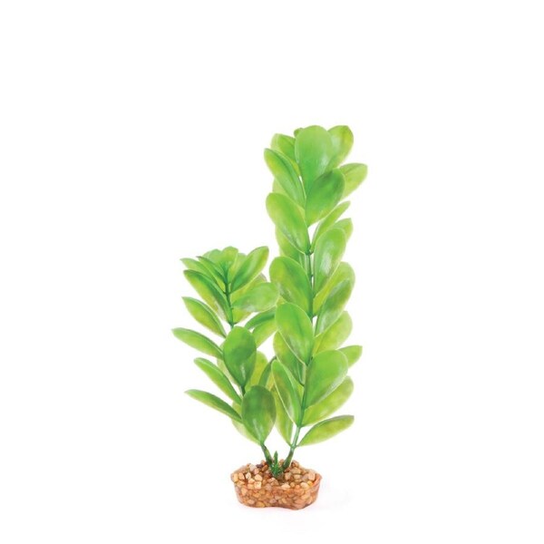 Kazoo Plastic Plant - Large Leaf Green Small (19534)