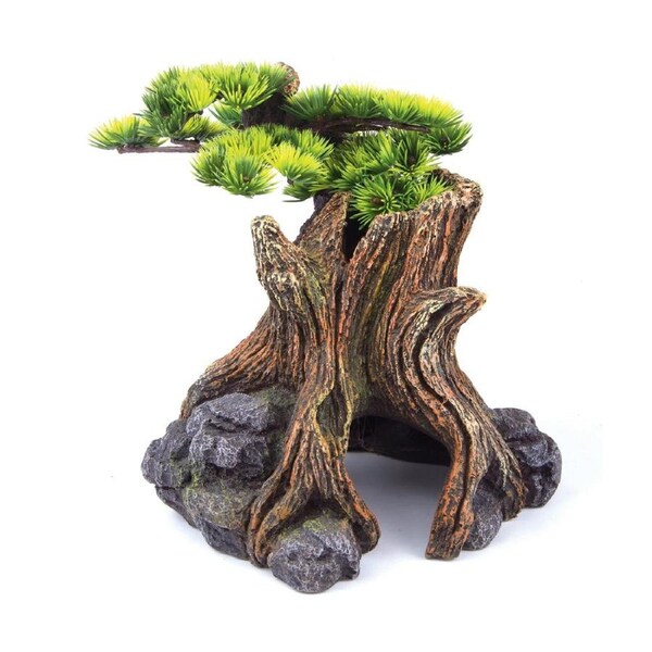 Kazoo Bonsai Plant Large (18790)