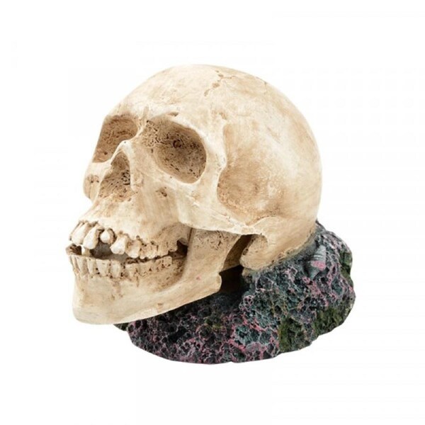 Bioscape Bubbler Large Human Skull (BIS332)