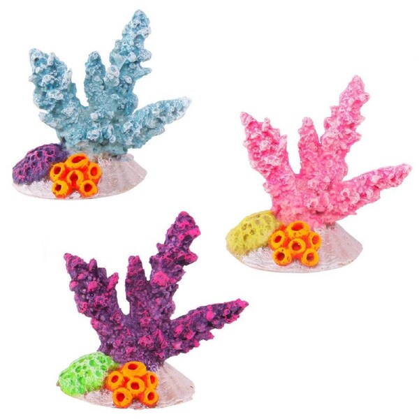 Kazoo Coral W/Shell (19031)