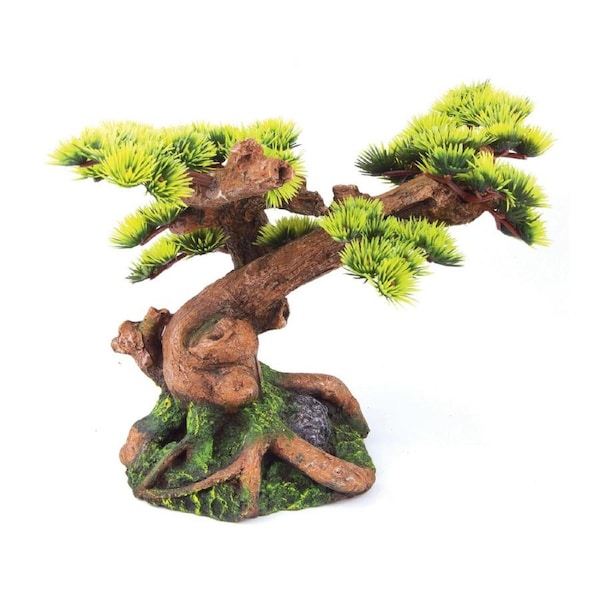 Kazoo Bonsai Plant Medium (18789)