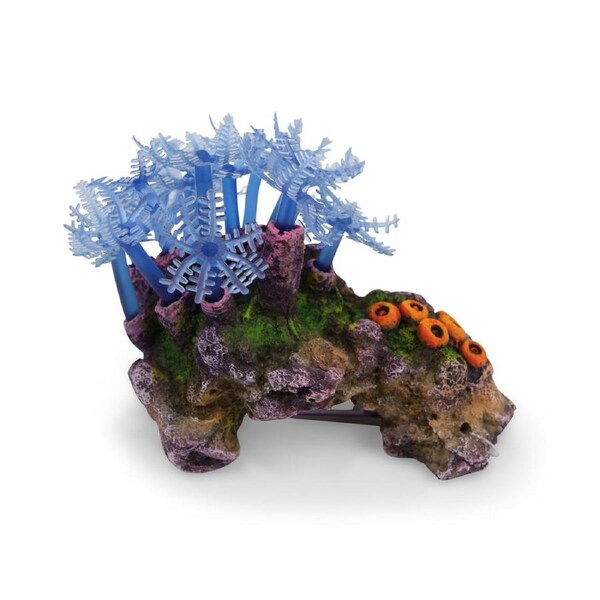 Kazoo Blue Leaf Coral W/Rock (19454)