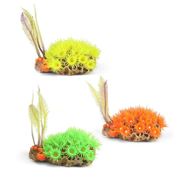 Kazoo Soft Coral W/Ferns Assorted 1pk (19462)