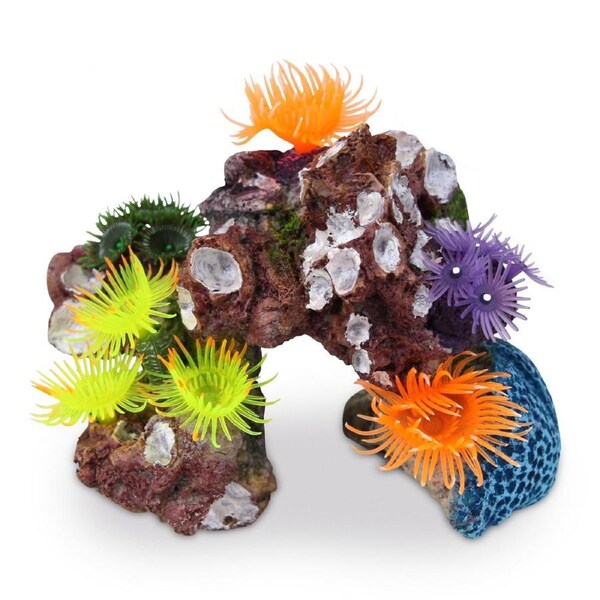 Kazoo Soft Coral Hideout W/ Shells & Plants (19467)