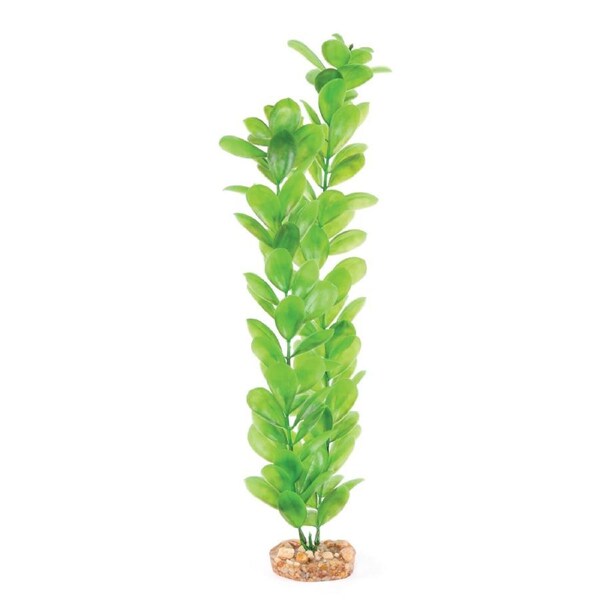 Kazoo Plastic Plant - Large Leaf Green Large (19536)