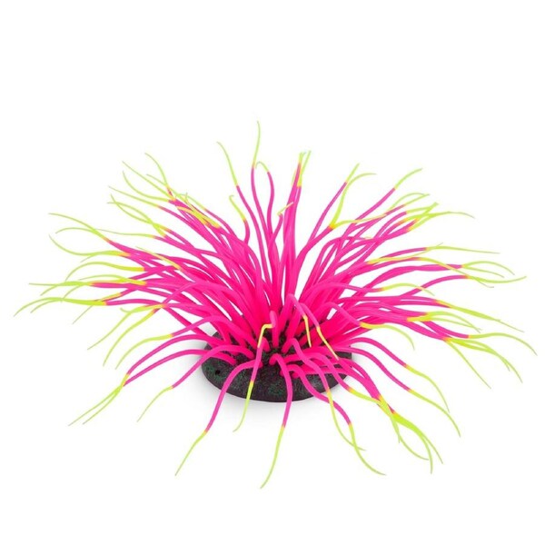Kazoo Silicone Plant - Sea Anemone w/Air Pink (19658)