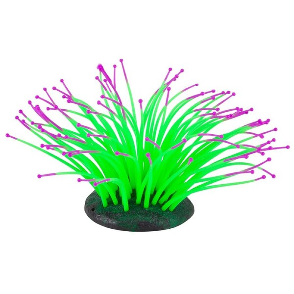 Kazoo Silicone Plant - Sea Anemone Green (19651)