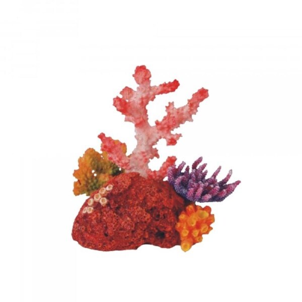 Bioscape Fantasy Cora Garden Ornament 16x15cm (BIS409)