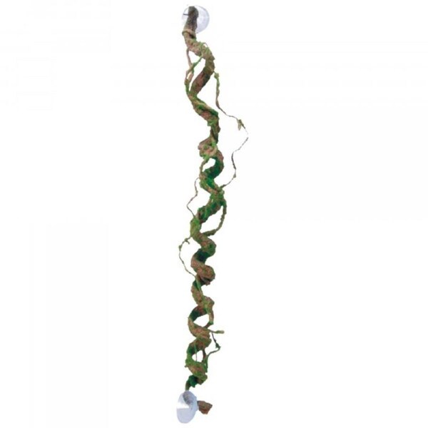 Eco Tech Giant Corkscrew Vine Plant 80cm (ECT81)