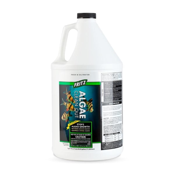 Fritz Algae Clean Out 3.8L/1 gal (FR48128)