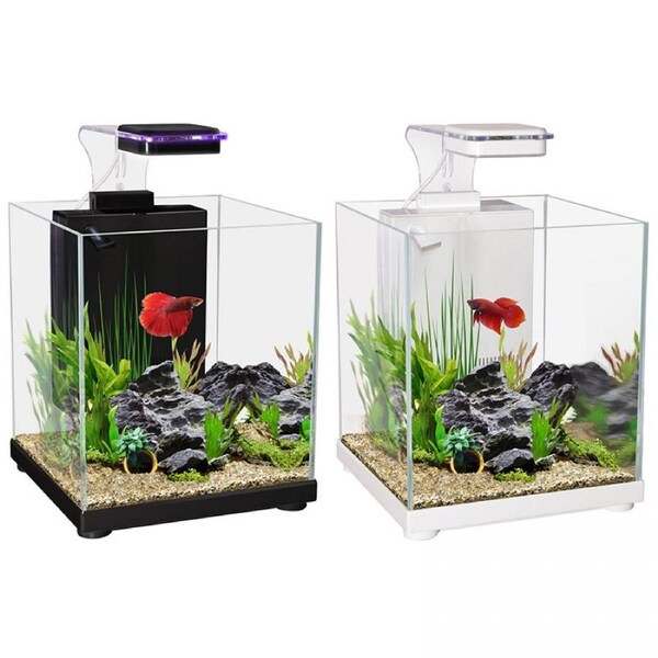 Aqua One Betta Sanctuary Glass Aquarium 10L Black (56308BK)