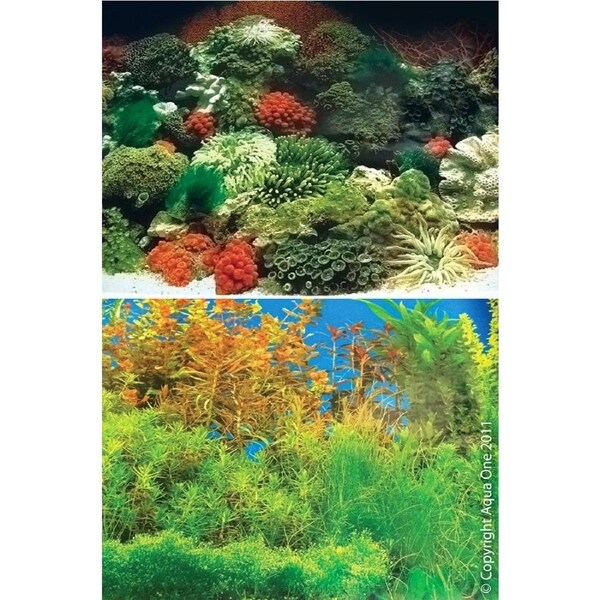 Aqua One Background Coral Black & Plant w/ Blue Double Sided 48cm (Per Metre) (10506)