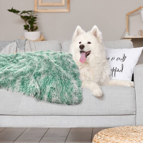 Pawz Dog Blanket Pet Cat Mat Puppy Warm Soft Plush Washable Reusable Calming Bed Teal