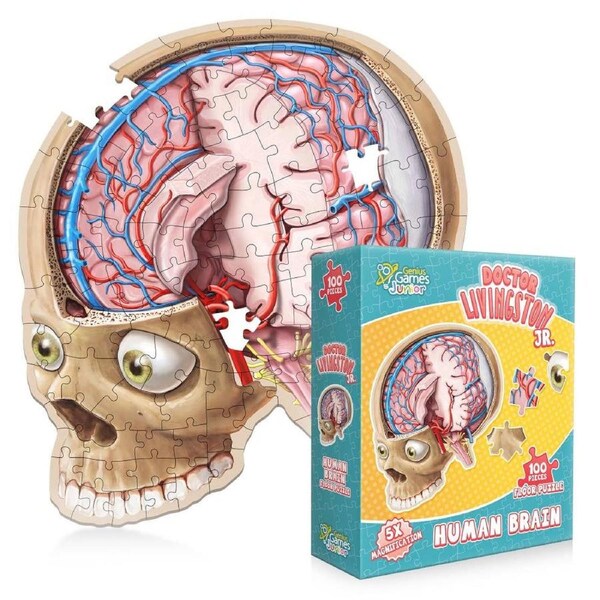 Dr. Livingston Jr. Kids Brain Puzzle