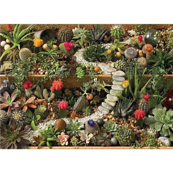 Cobble Hill - Succulent Garden Puzzle 1000pc