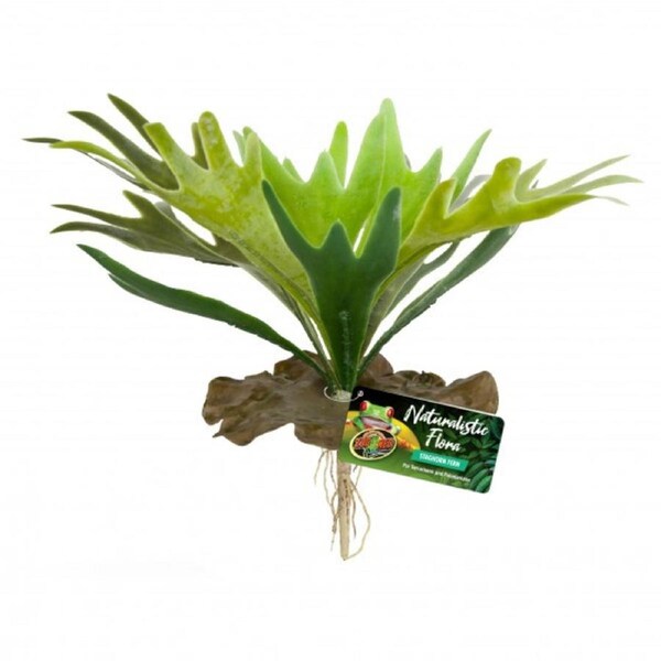 Zoo Med Staghorn Fern (BU-65)