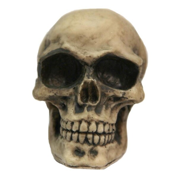Aqua One Skull (S) Ornament (37124)