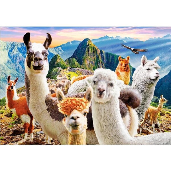 Castorland - Llamas Selfie Puzzle 1000pc