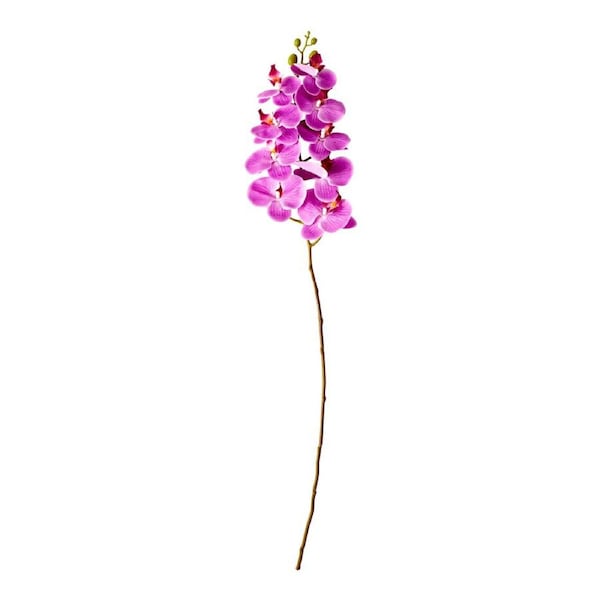 MyHouse Orchid Stem - Fuchsia