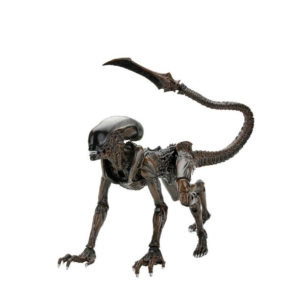 Neca Aliens Runner Fireteam Elite 7'' Scale Action Figure Collectible Toy 17+