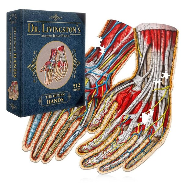 Dr. Livingstons Anatomy Jigsaw Puzzle: The Human Hands