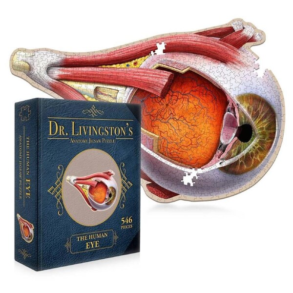 Dr. Livingstons Anatomy Jigsaw Puzzle: The Human Eye