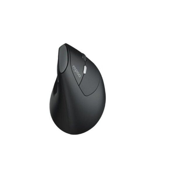 Rapoo Ev250 Ergonomic Vertical Wireless Mouse