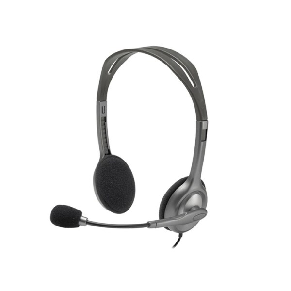 Logitech H110 Headset With Mic