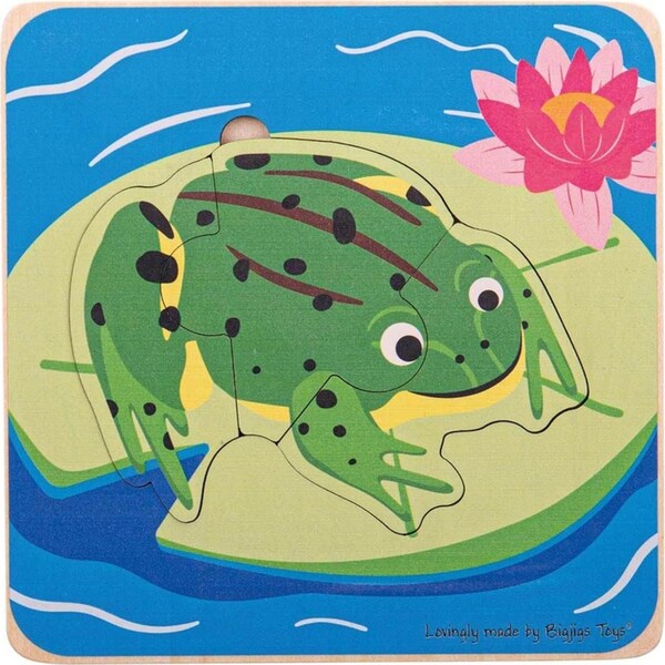 4pc Bigjigs Toys 15cm Lifecycle Layer Jigsaw Puzzle Frog Kids Wooden Toy 18m+