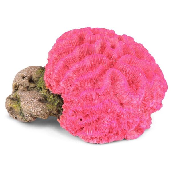 Kazoo Fluro Brain Coral Pink (18901)