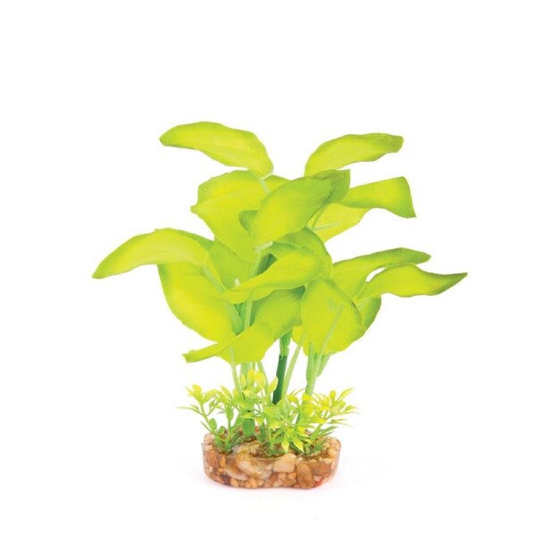 Kazoo Silk Plant - Large Leaf Green Medium (19549)