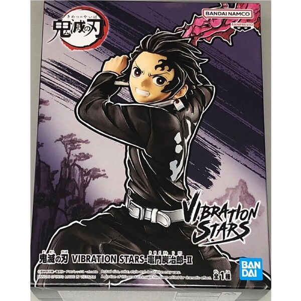Demon Slayer: Kimetsu no Yaiba Vibration Stars Tanjiro Kamado II